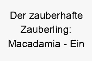 der zauberhafte zauberling macadamia ein suesser hund mit hellem fell und herzerwaermender persoenlichkeit 22823