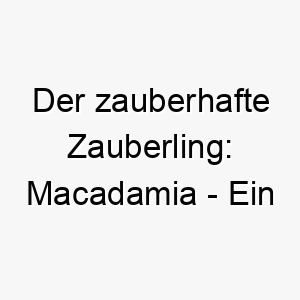 der zauberhafte zauberling macadamia ein suesser hund mit hellem fell und herzerwaermender persoenlichkeit 22823