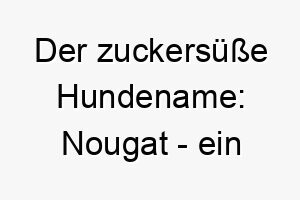 der zuckersuesse hundename nougat ein leckerbissen fuer treue vierbeiner 23156