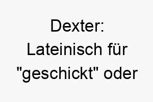 dexter lateinisch fuer geschickt oder rechts ein guter name fuer einen wendigen hund oder fuer einen der sich besonders gut dressieren laesst 17957