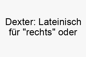 dexter lateinisch fuer rechts oder geschickt ideal fuer einen rechtsseitigen oder geschickten hund 17972