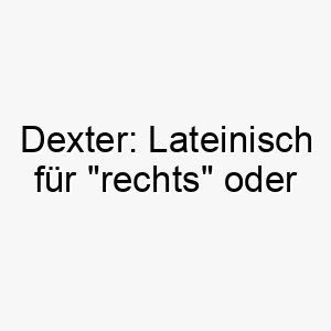 dexter lateinisch fuer rechts oder geschickt ideal fuer einen rechtsseitigen oder geschickten hund 17972