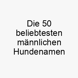 die 50 beliebtesten maennlichen hundenamen 26797 1