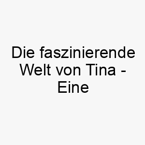 die faszinierende welt von tina eine namensbedeutung mit lateinischem ursprung fuer treue hundebegleiter 11718