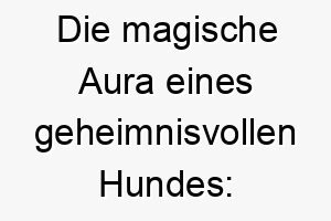 die magische aura eines geheimnisvollen hundes fata morgana der mystische begleiter 22877