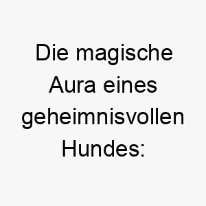 die magische aura eines geheimnisvollen hundes fata morgana der mystische begleiter 22877