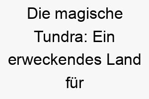 die magische tundra ein erweckendes land fuer kaeltebegeisterte huskys und hunde 26264