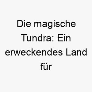 die magische tundra ein erweckendes land fuer kaeltebegeisterte huskys und hunde 26264