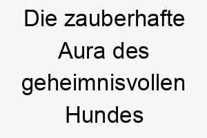 die zauberhafte aura des geheimnisvollen hundes mystic 22801