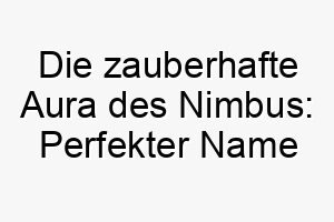 die zauberhafte aura des nimbus perfekter name fuer einen zauberhaften weissen hund 23146