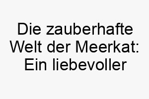 die zauberhafte welt der meerkat ein liebevoller name fuer einen treuen begleiter 22840