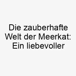 die zauberhafte welt der meerkat ein liebevoller name fuer einen treuen begleiter 22840