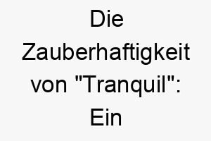 die zauberhaftigkeit von tranquil ein harmonischer name fuer eine friedvolle gelassene fellnase 26431