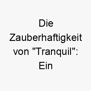 die zauberhaftigkeit von tranquil ein harmonischer name fuer eine friedvolle gelassene fellnase 26431