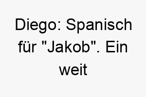 diego spanisch fuer jakob ein weit verbreiteter name der fuer jeden hund geeignet ist 17973