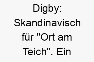 digby skandinavisch fuer ort am teich ein toller name fuer einen hund der gerne im wasser spielt 17999