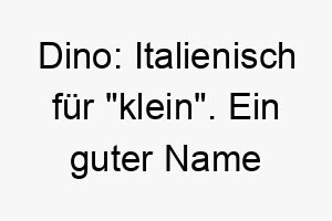 dino italienisch fuer klein ein guter name fuer kleine hunderassen 17974