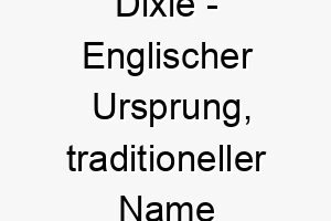 dixie englischer ursprung traditioneller name fuer den suedlichen teil der usa bedeutung als hundename fuer einen stolzen starken hund 13747