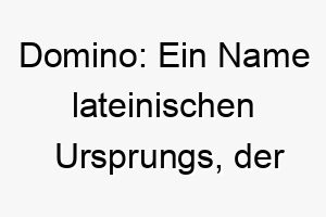 domino ein name lateinischen ursprungs der herr bedeutet oder es kann auch an das dominospiel erinnern besonders passend fuer einen hund mit schwarz weissem fell 18021