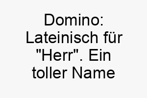 domino lateinisch fuer herr ein toller name fuer einen dominierenden oder starken hund 18005