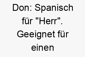 don spanisch fuer herr geeignet fuer einen wuerdevollen und ruhigen hund 17979