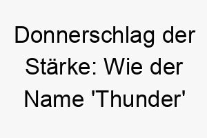 donnerschlag der staerke wie der name thunder einen lauten energiegeladenen oder grossen hund erweckt 26216