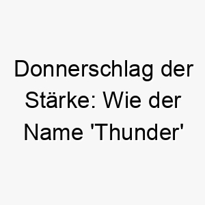 donnerschlag der staerke wie der name thunder einen lauten energiegeladenen oder grossen hund erweckt 26216