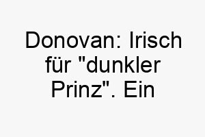 donovan irisch fuer dunkler prinz ein beeindruckender name fuer einen dunkelhaarigen hund 18006