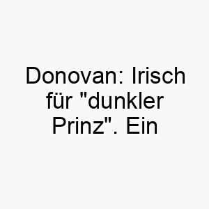 donovan irisch fuer dunkler prinz ein beeindruckender name fuer einen dunkelhaarigen hund 18006