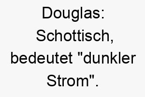 douglas schottisch bedeutet dunkler strom ein guter name fuer einen wasser liebenden hund mit dunklem fell 18024