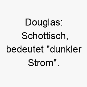 douglas schottisch bedeutet dunkler strom ein guter name fuer einen wasser liebenden hund mit dunklem fell 18024