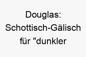 douglas schottisch gaelisch fuer dunkler strom ein guter name fuer einen hund mit dunklem fell 17981