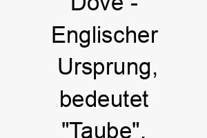 dove englischer ursprung bedeutet taube bedeutung als hundename fuer einen friedlichen sanften hund 13748