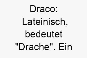 draco lateinisch bedeutet drache ein kraftvoller name fuer einen mutigen starken hund 18025