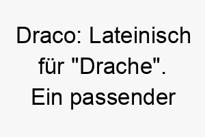 draco lateinisch fuer drache ein passender name fuer einen eindrucksvollen und mutigen hund 17964