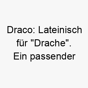 draco lateinisch fuer drache ein passender name fuer einen eindrucksvollen und mutigen hund 17964