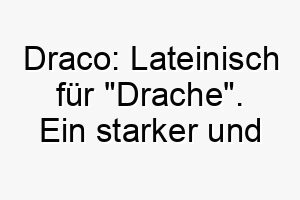 draco lateinisch fuer drache ein starker und mutiger name fuer jeden hund 17983