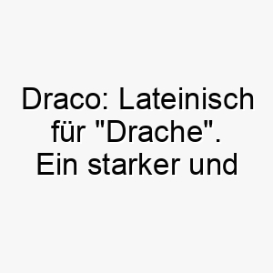 draco lateinisch fuer drache ein starker und mutiger name fuer jeden hund 17983