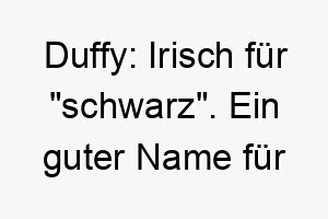 duffy irisch fuer schwarz ein guter name fuer einen hund mit schwarzem fell 18010