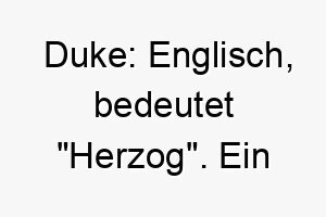 duke englisch bedeutet herzog ein majestaetischer name fuer einen eleganten edlen hund 18028