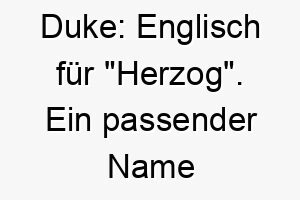 duke englisch fuer herzog ein passender name fuer einen edlen und wuerdevollen hund 17965