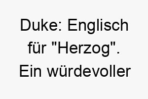 duke englisch fuer herzog ein wuerdevoller name fuer einen edlen hund 17985