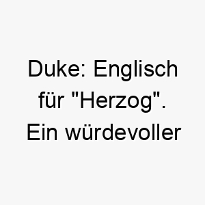 duke englisch fuer herzog ein wuerdevoller name fuer einen edlen hund 17985