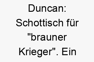 duncan schottisch fuer brauner krieger ein starker mutiger name fuer einen braunen hund 18011