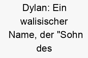 dylan ein walisischer name der sohn des meeres bedeutet ein guter name fuer einen hund der das wasser liebt 17966