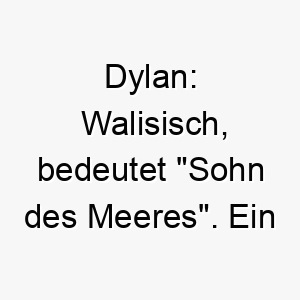 dylan walisisch bedeutet sohn des meeres ein guter name fuer einen hund der wasser liebt 18014