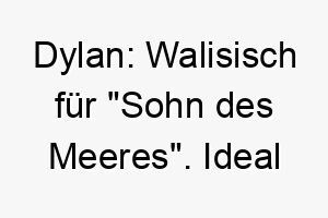 dylan walisisch fuer sohn des meeres ideal fuer einen hund der das wasser liebt 17986