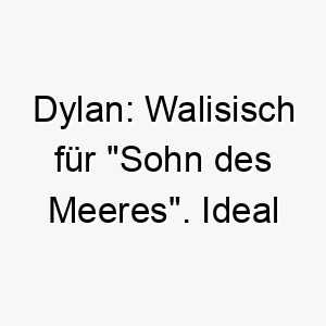 dylan walisisch fuer sohn des meeres ideal fuer einen hund der das wasser liebt 17986