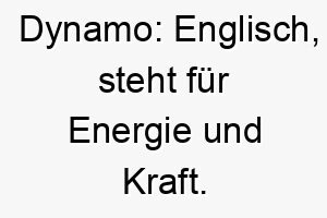 dynamo englisch steht fuer energie und kraft ein toller name fuer einen energiegeladenen aktiven hund 18015