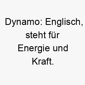 dynamo englisch steht fuer energie und kraft ein toller name fuer einen energiegeladenen aktiven hund 18015